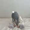 <b>LALALAND帽子</b>Winter폼폼 보넷 6-20M