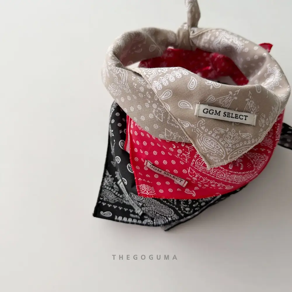 2 <b>THEGOGUMA 圍巾 </b>Autumn 페이즐 스카프 FREE