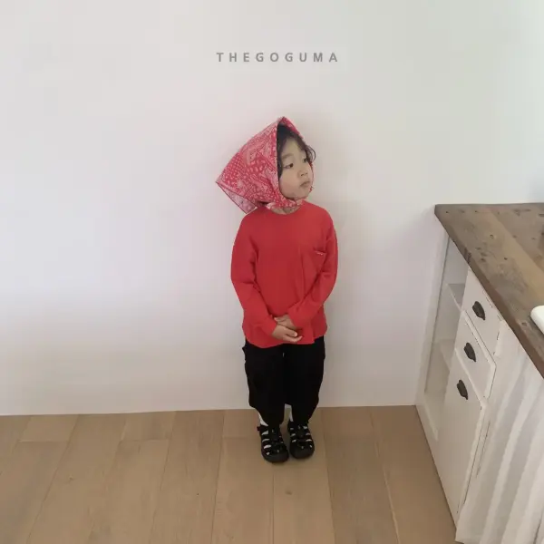 3 <b>THEGOGUMA 圍巾 </b>Autumn 페이즐 스카프 FREE