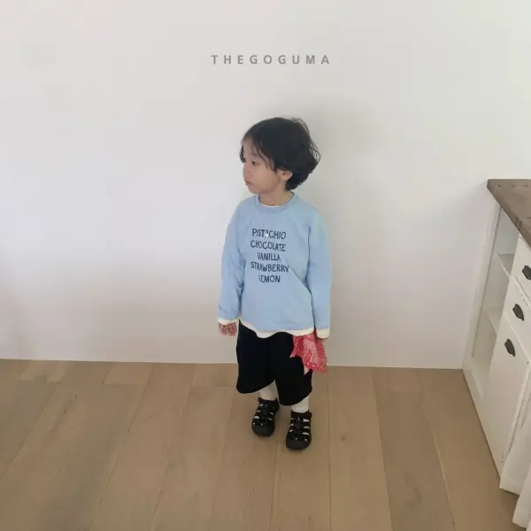 <b>THEGOGUMA 上衣</b>Autumn 빈티지 피그먼트T 85-142cm